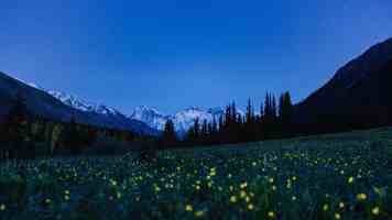 91视频在线免费观看 - 暗藏的三大安全雷区别踩